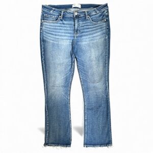 Buckle BKE Payton women’s jeans